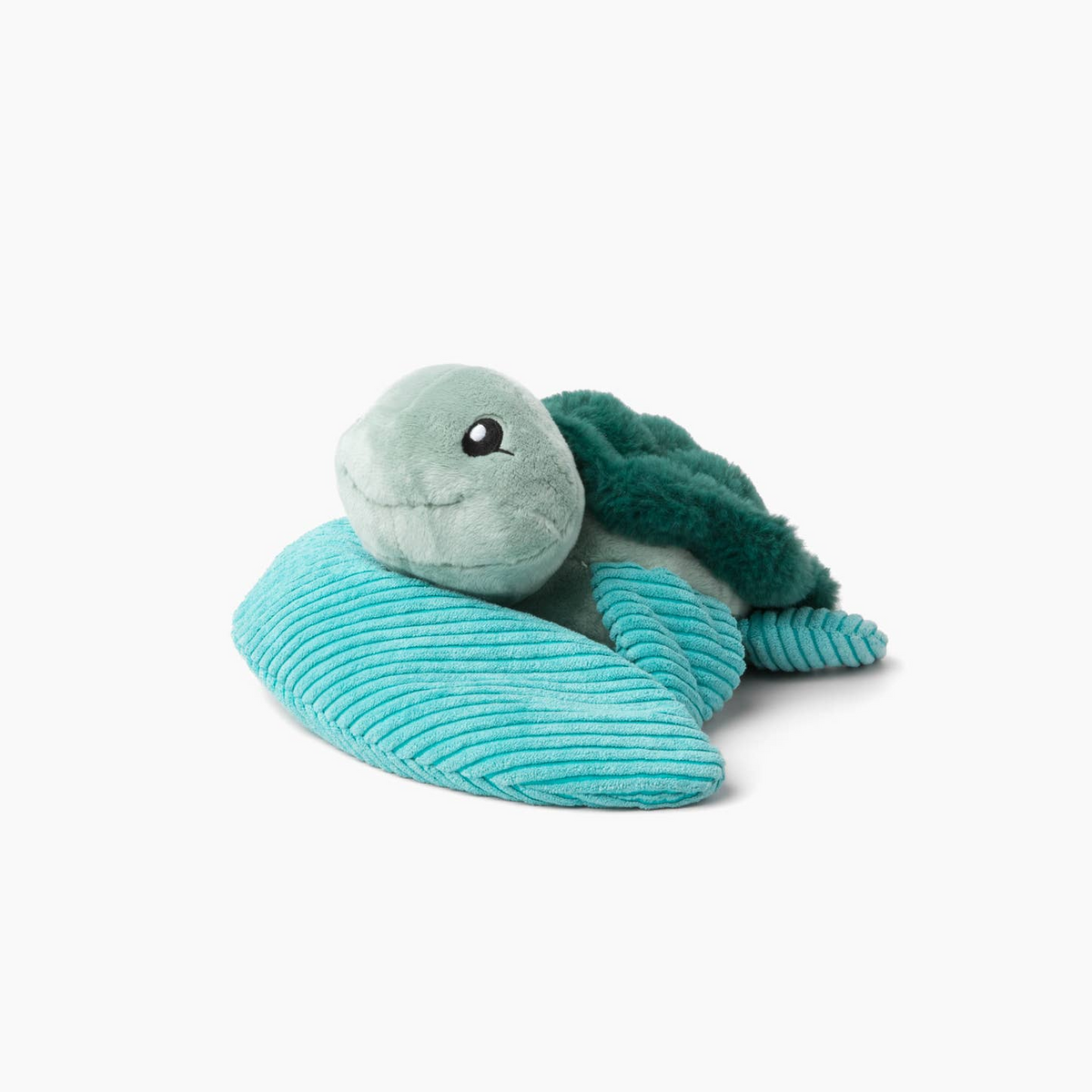 Sidney the Sea Turtle