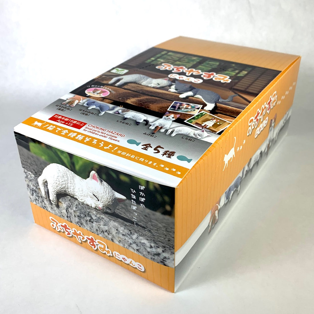 BC Mini Playful House Cats Blind Box