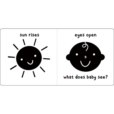 What Does Baby See?