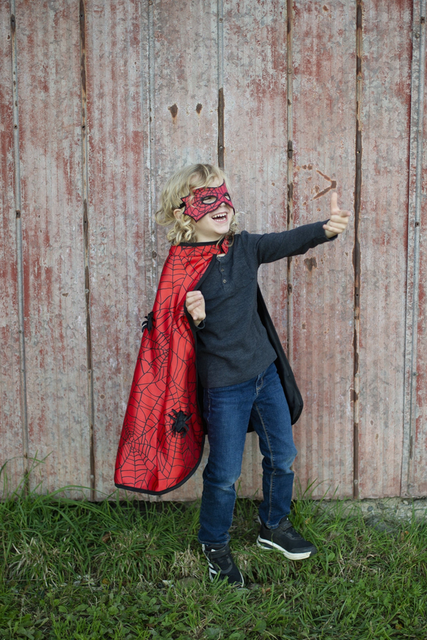 Reversible Spider/Bat Cape & Mask, Size 3-4