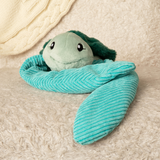 Sidney the Sea Turtle