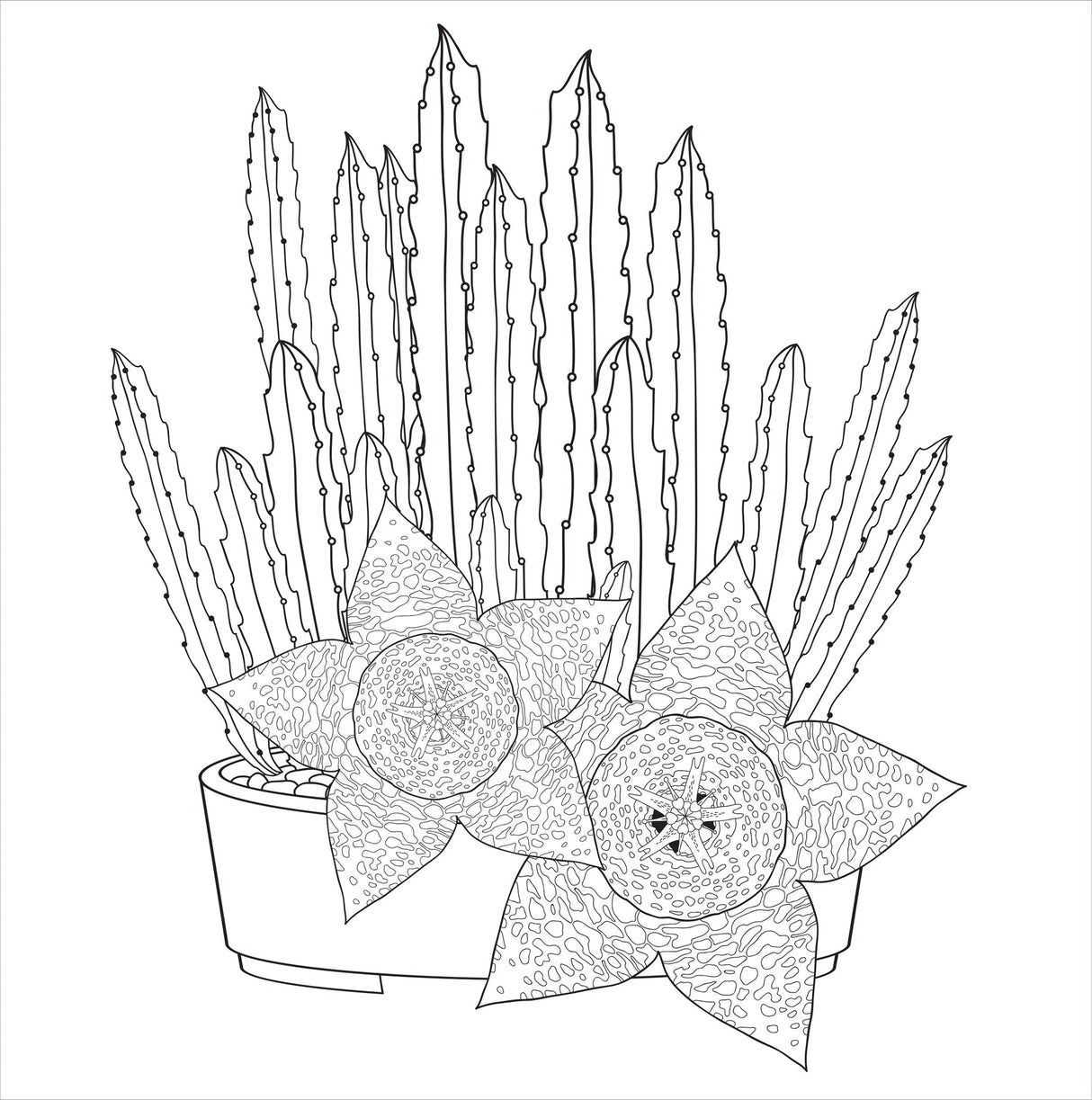 Artist's Coloring Books: Succulents