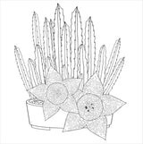Artist's Coloring Books: Succulents