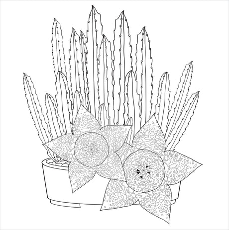 Artist's Coloring Books: Succulents