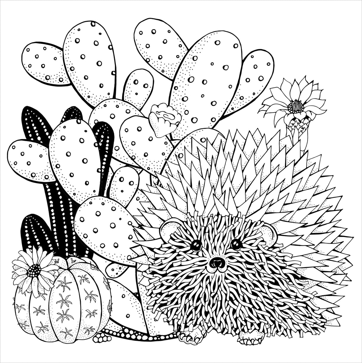 Artist's Coloring Books: Succulents