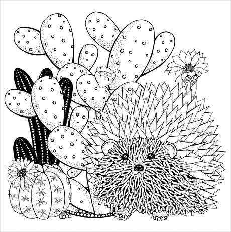 Artist's Coloring Books: Succulents
