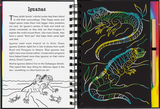 Reptiles  & Amphibians Scratch & Sketch