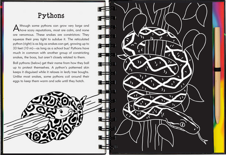 Reptiles  & Amphibians Scratch & Sketch