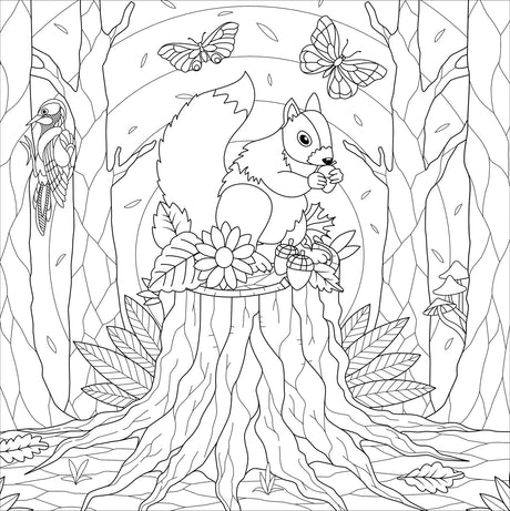 Artist's Coloring Books: Boho Dreams