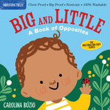 Big and Little (a Book of Opposites) Indestructibles Book