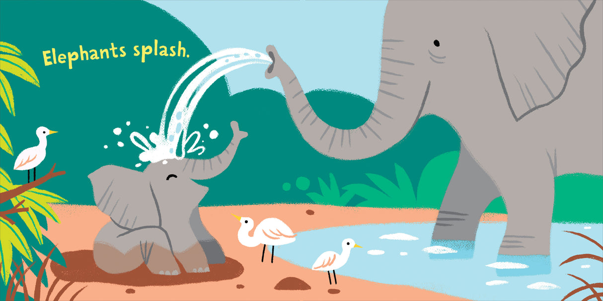 It's Bath Time! Indestructibles Book