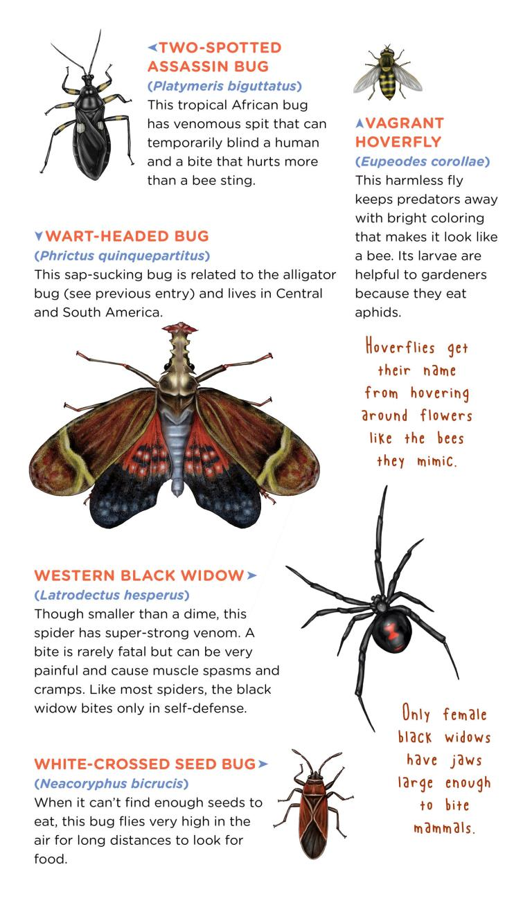 Creepy, Crawly Tattoo Bugs