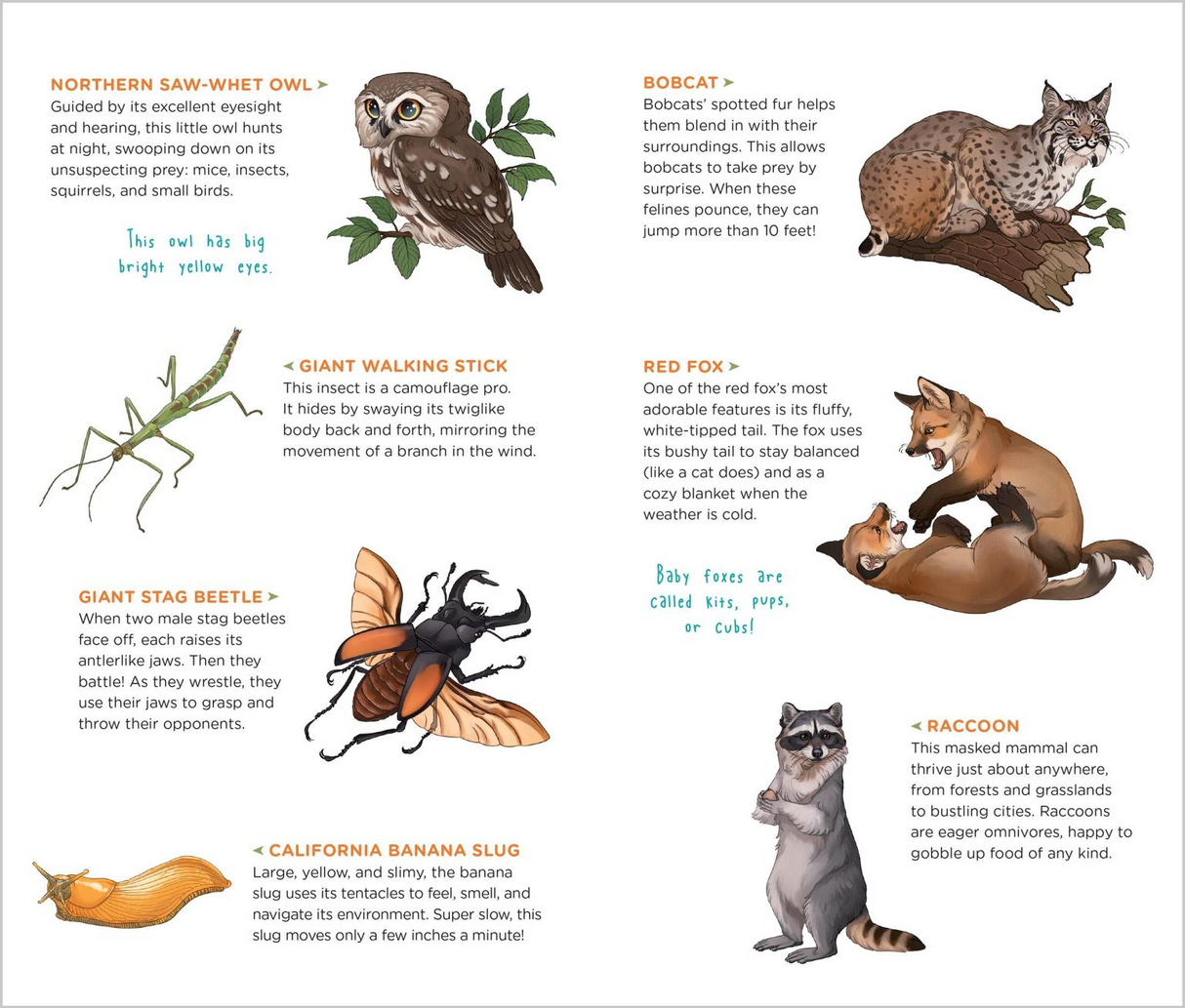 Wild, Wonderful Tattoo Woodland Animals