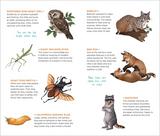 Wild, Wonderful Tattoo Woodland Animals