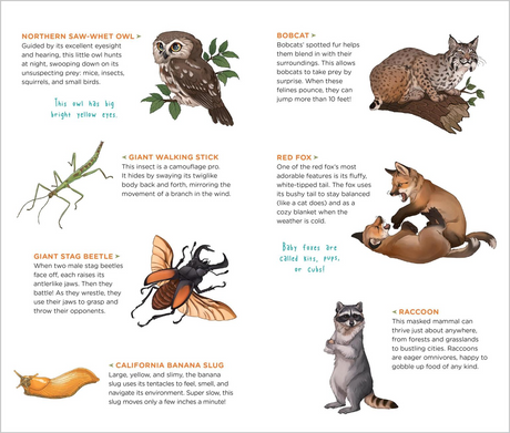 Wild, Wonderful Tattoo Woodland Animals