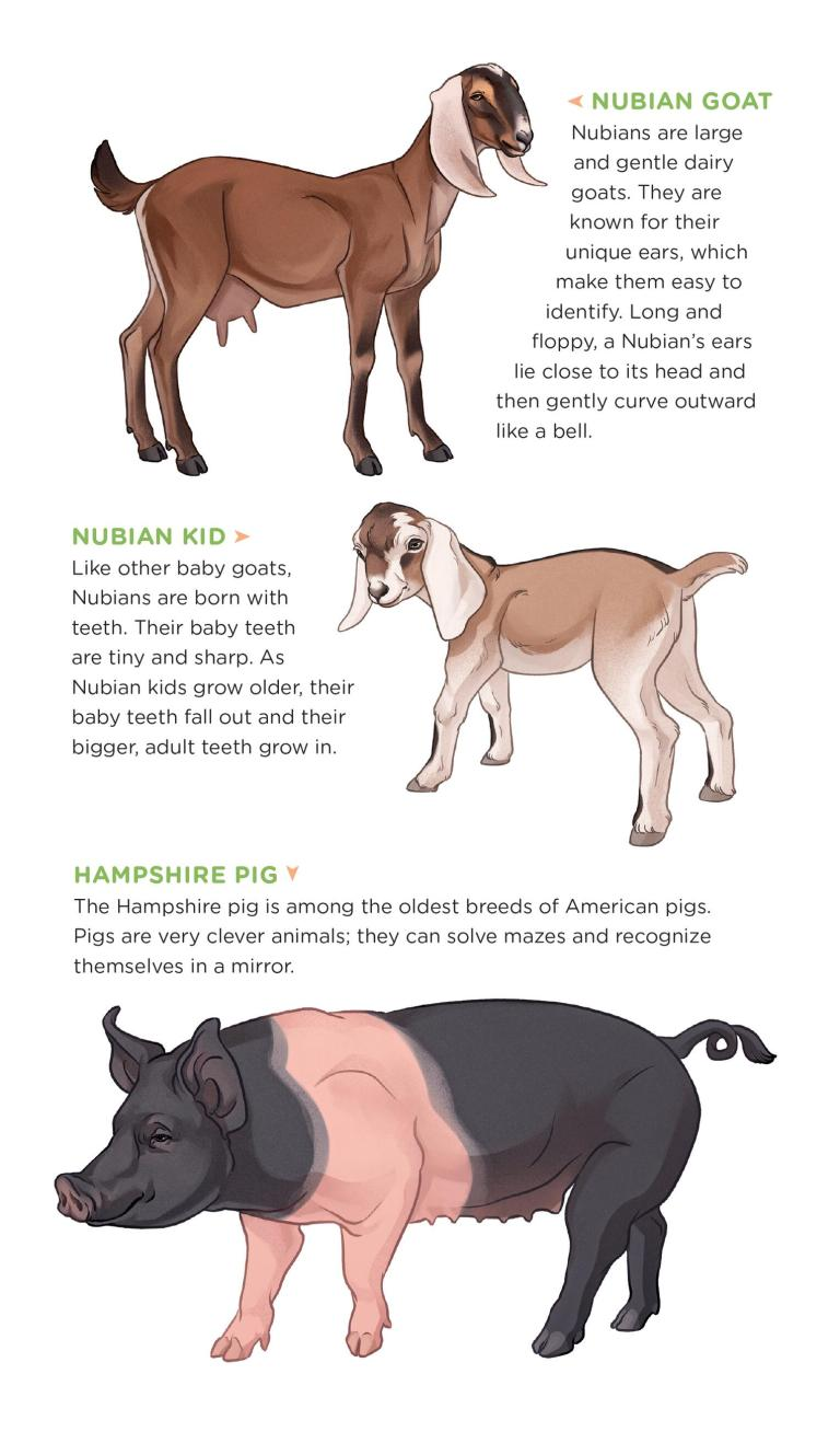 Busy Barnyard of Tattoo Farm Animals