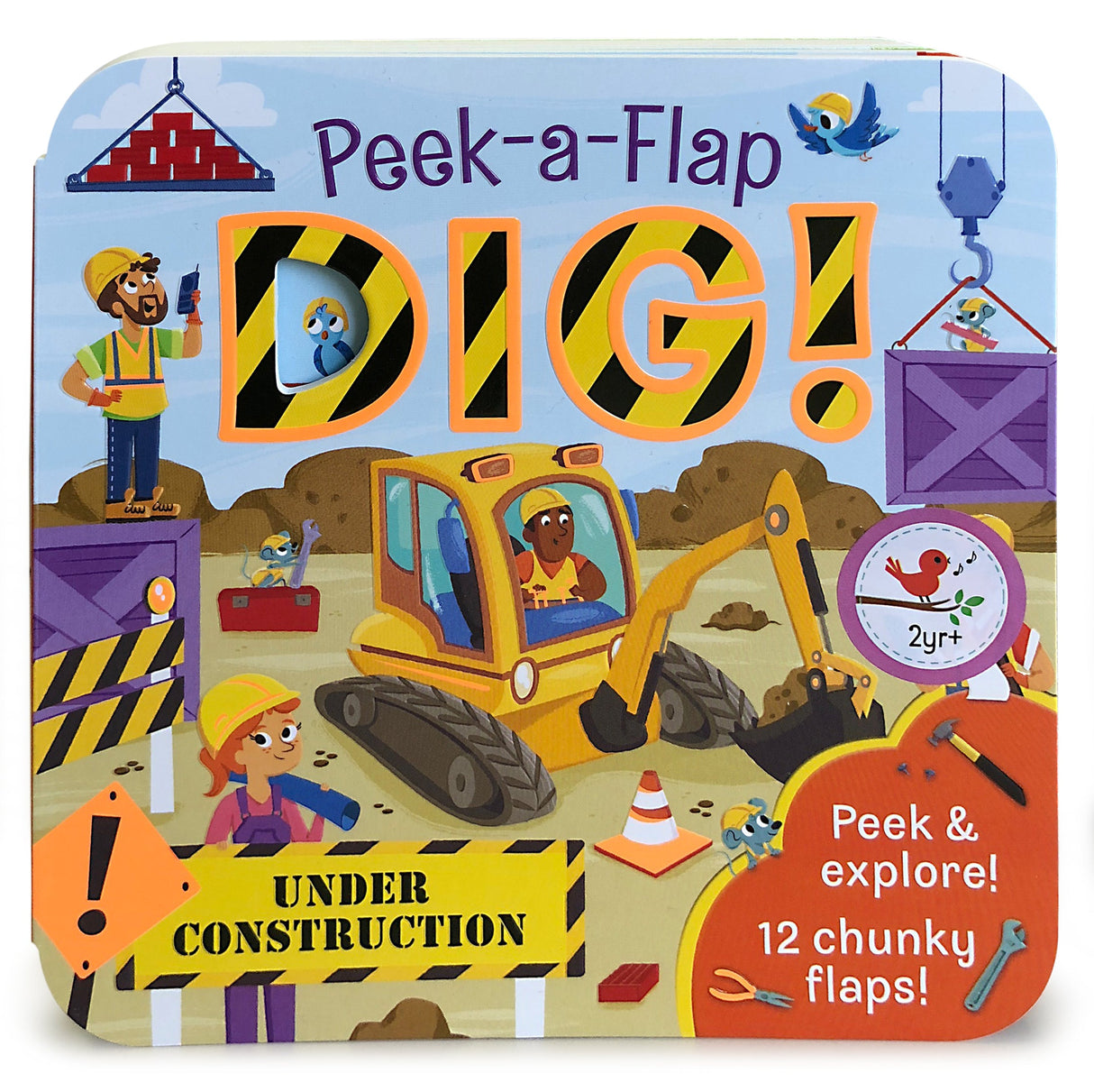 Dig! Peek A Flap Book