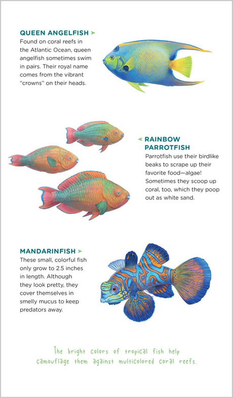 Watery World of Tattoo Ocean Animals