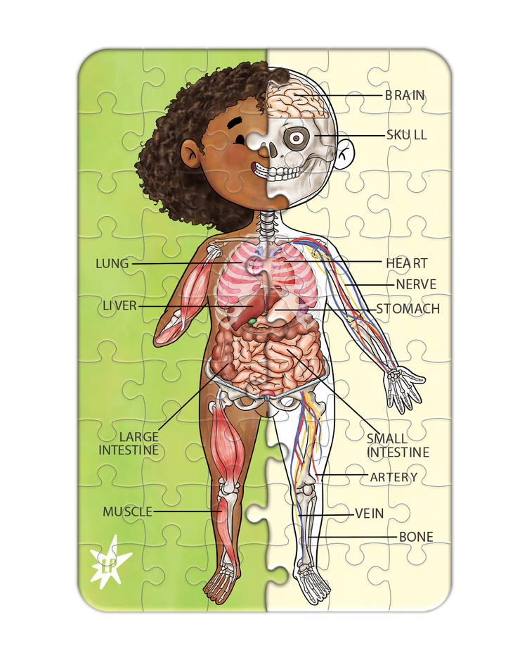A Piece A Part Anatomy Jigsaw Puzzle