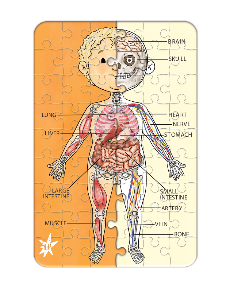 A Piece A Part Anatomy Jigsaw Puzzle