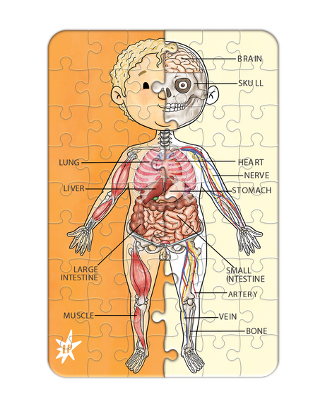 A Piece A Part Anatomy Jigsaw Puzzle
