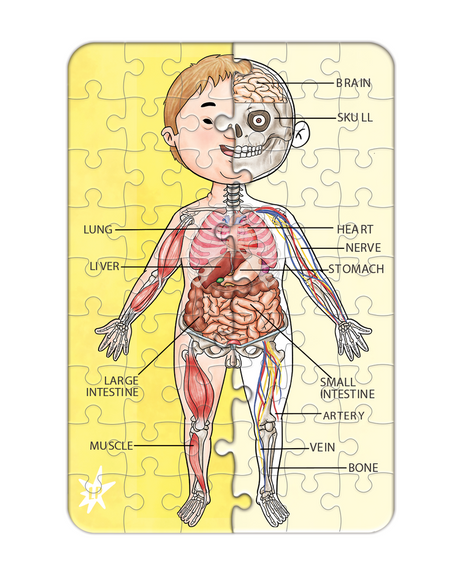 A Piece A Part Anatomy Jigsaw Puzzle