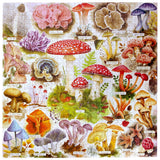 Bountiful Mushrooms 1000 Piece Puzzle