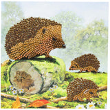 CA Card Kit: Happy Hedgehogs