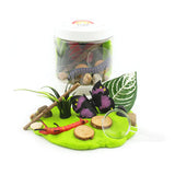 Backyard Bug Adventure Sensory Play Dough-to-Go Jar