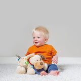 Buddy Dog Taggies Soft Toy