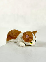 BC Mini Playful House Cats Blind Box