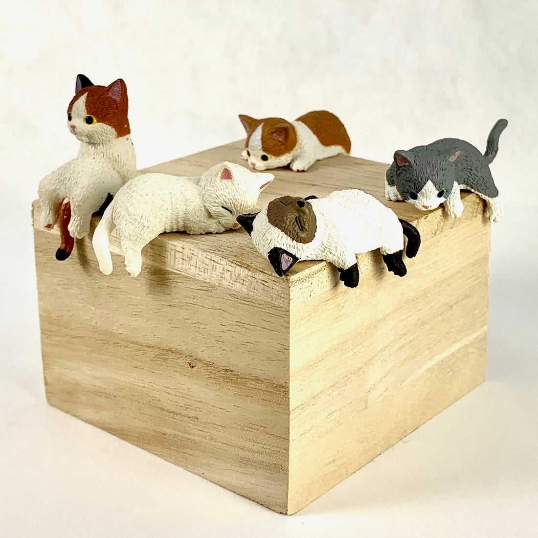 BC Mini Playful House Cats Blind Box