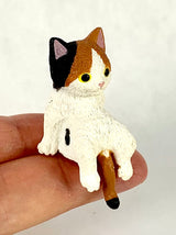 BC Mini Playful House Cats Blind Box