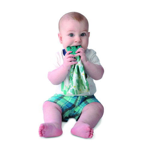 Munch It Blanket Cacti Cutie Pie