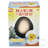 Hatch & Grow Duck