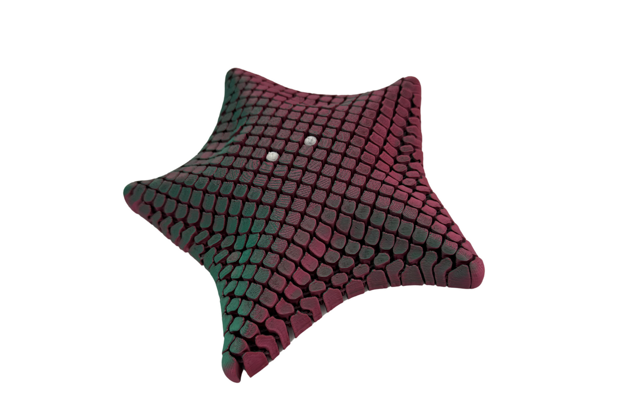 PYE Games 3D Articulated Starfish