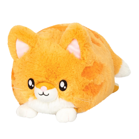 Mini Kitty