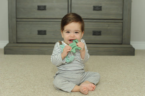 Teether Tether + Teether Cactus Llama