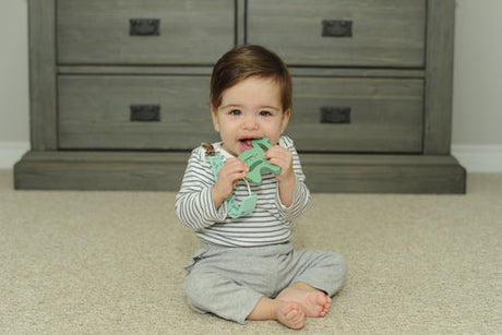 Teether Tether + Teether Cactus Llama