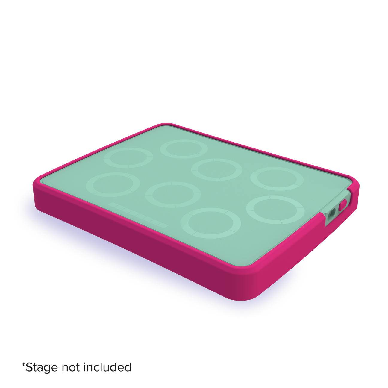 Stage Bumper - Pink