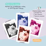 Sky Blue Print Pro Camera