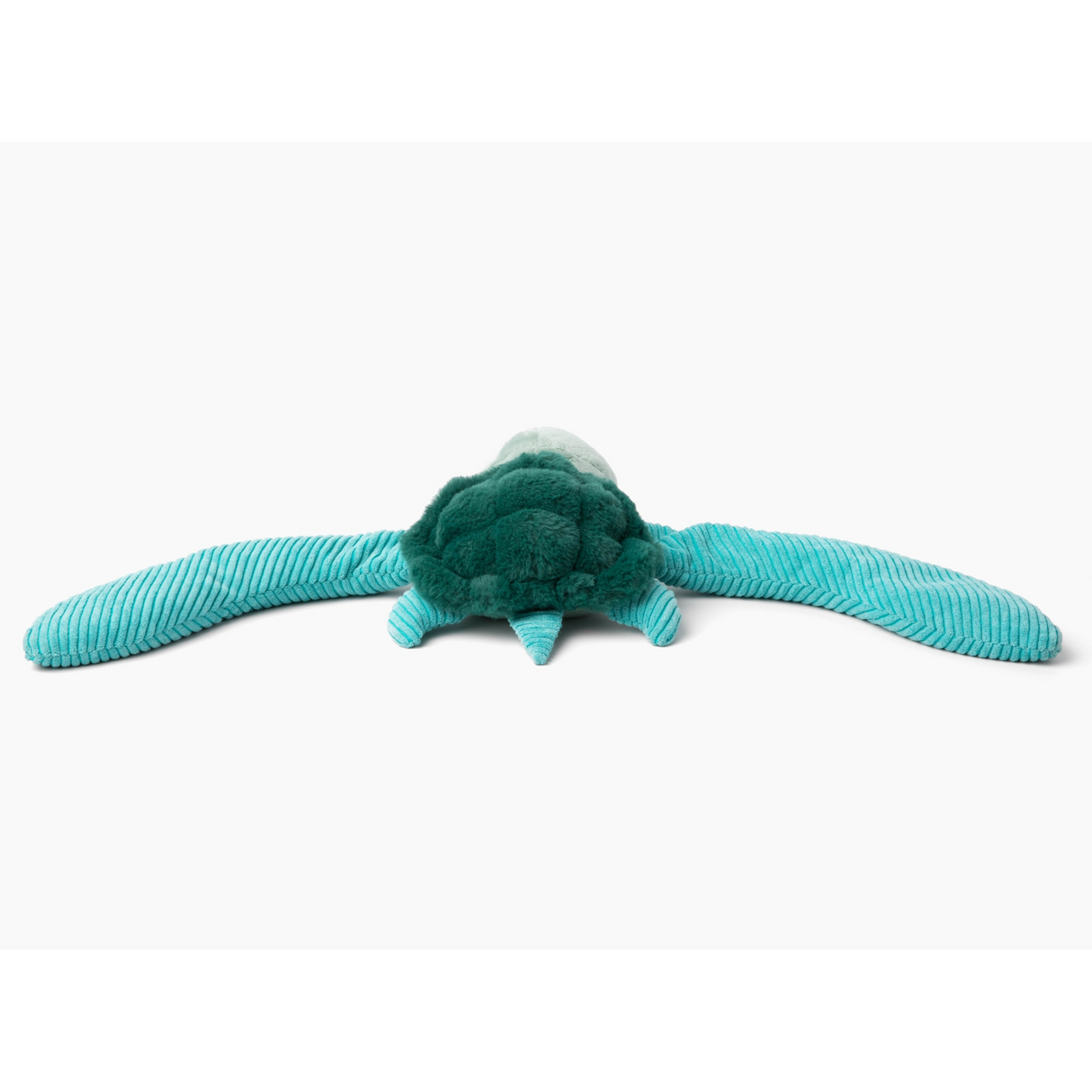 Sidney the Sea Turtle