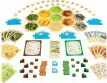 Catan Extension: 5-6 Player