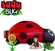 The Original AirFort - Ladybug