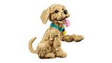LEGO Icons 11384 Golden Retriever Puppy