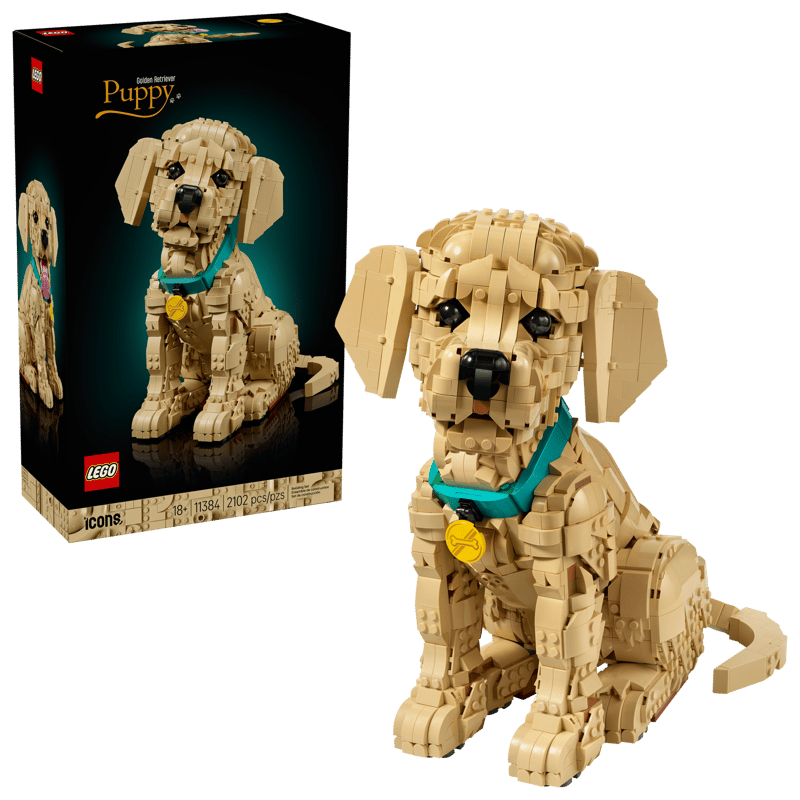 LEGO Icons 11384 Golden Retriever Puppy