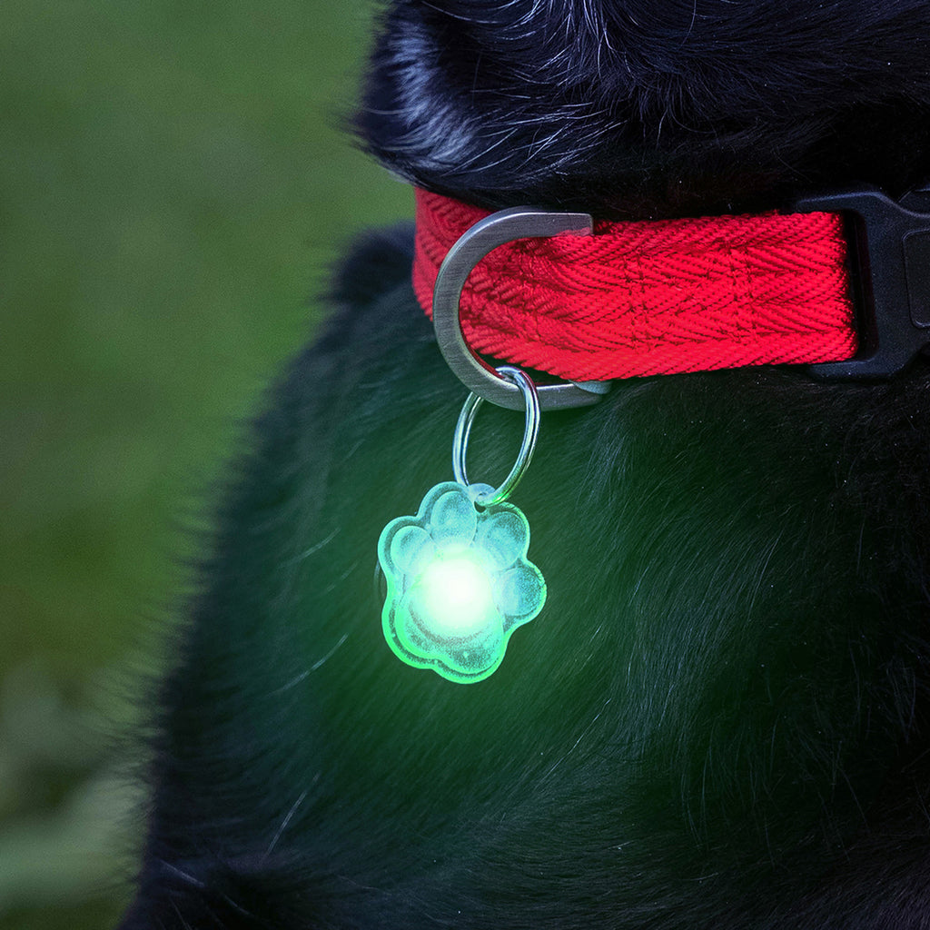 Pupbrightz Color Morphing Collar Charms, 2pk