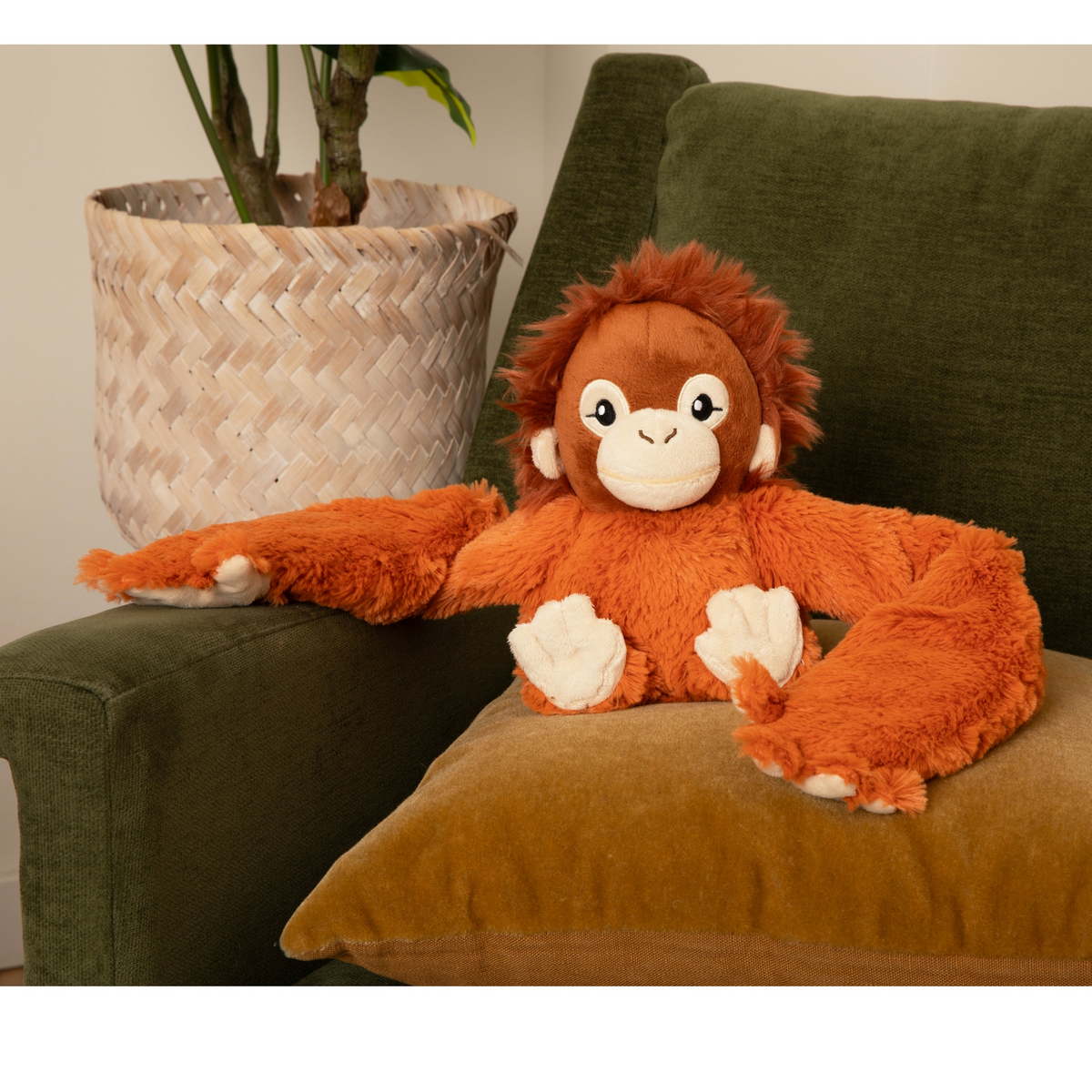 Ollie the Orangutan