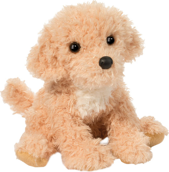 Noodle Goldendoodle
