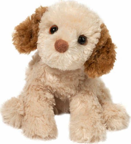 Biscuit Cavapoo